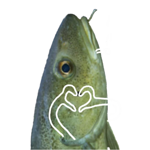 Стикер Le Dorsch magnifique