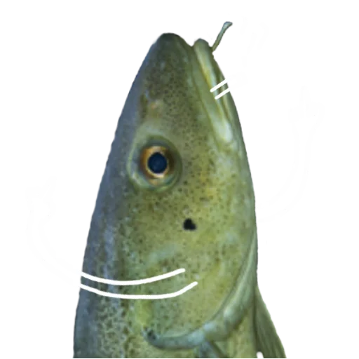 Стикер Le Dorsch magnifique