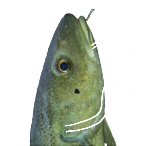 Стикер Le Dorsch magnifique