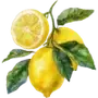 🍋