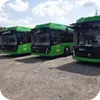 Стикер Автобусы