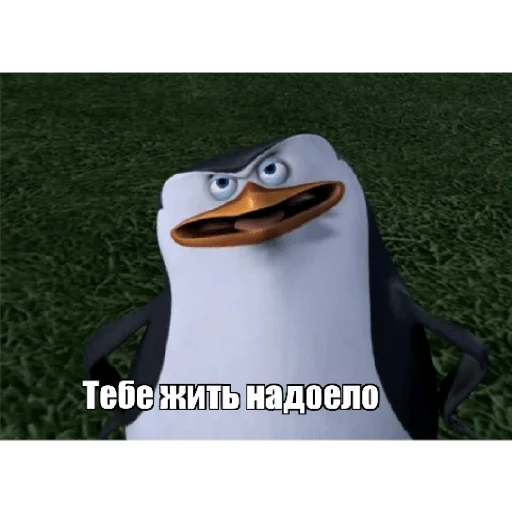 Стикер Пингвины