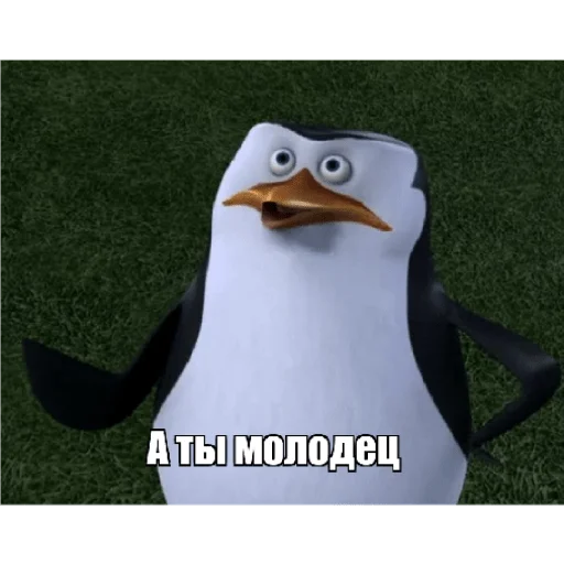 Стикер Пингвины