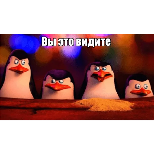 Стикер Пингвины