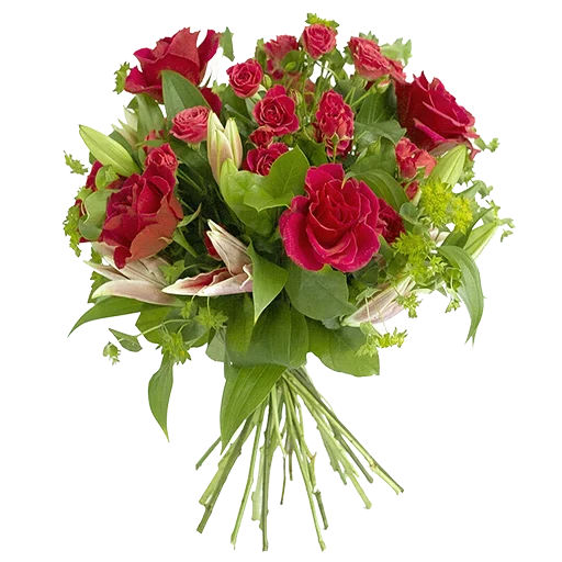 Стикер Like Pack