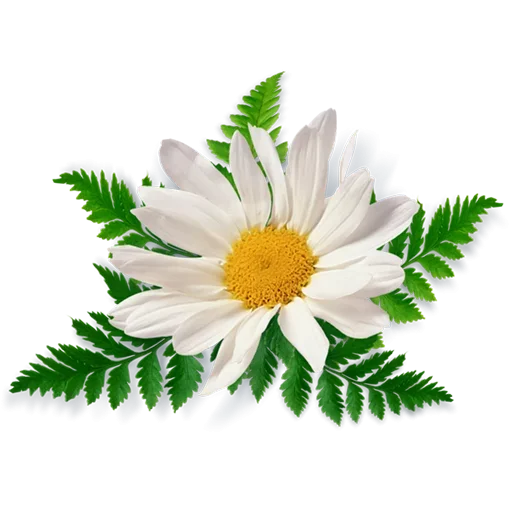 Стикер Like Pack