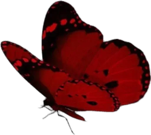 Стикер red mixed