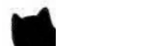 Стикер Little Black Cat