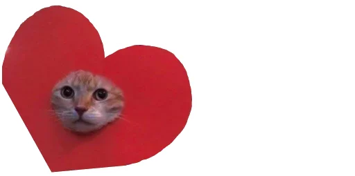 Стикер Little Kitties