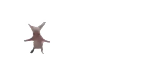 Стикер Little Kitties