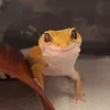 Стикер Lizard Boy