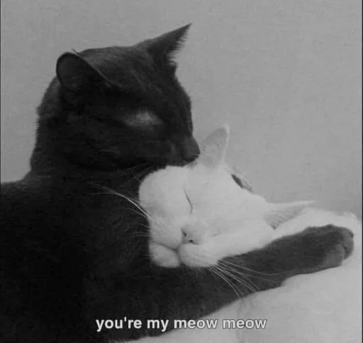 Стикер Абьюзер