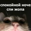 Стикер Funny Animals 4