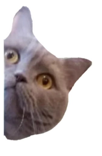 Стикер Лола