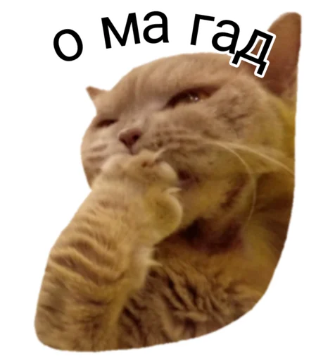 Стикер Лола