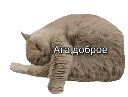 Стикер Лола