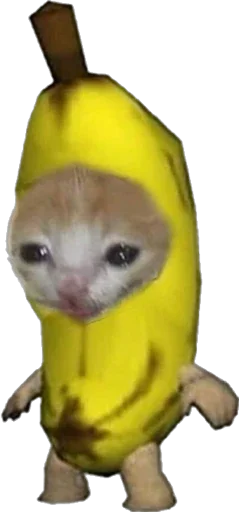 🥺