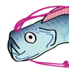 🐟