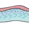 Эмодзи Sea