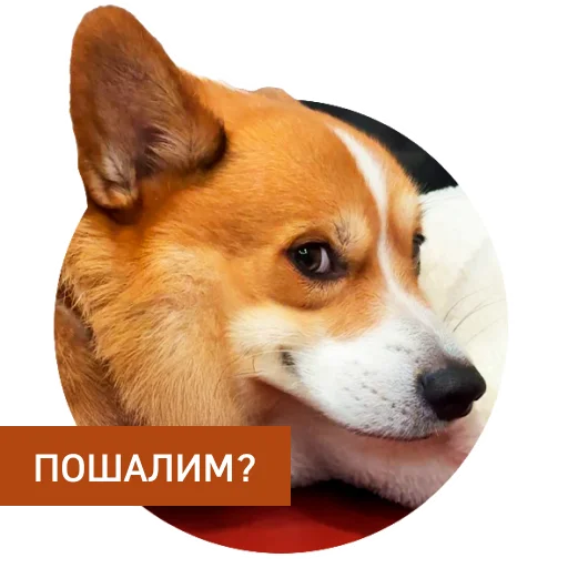 Стикер Lucky FSK