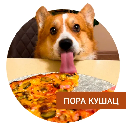 Стикер Lucky FSK