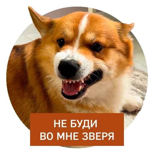 Стикер Lucky FSK