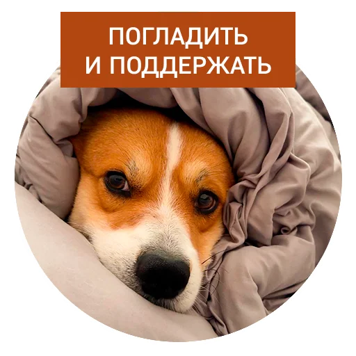 Стикер Lucky FSK