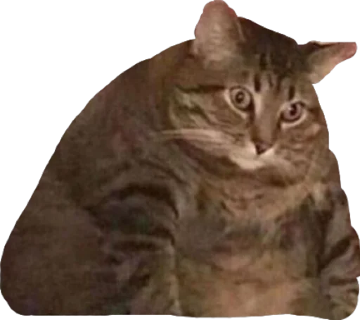 Стикер Лухари