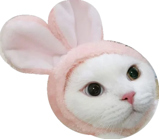 Стикер Лухари