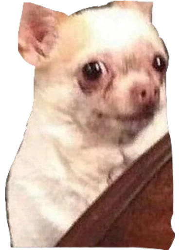 Стикер Лухари