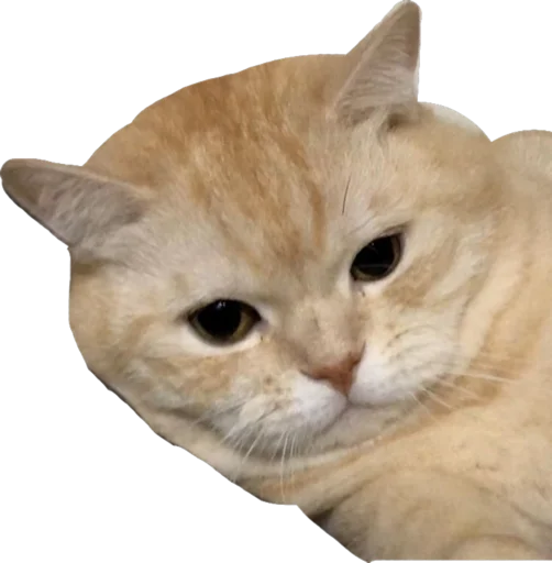 Стикер Лухари