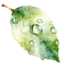 Эмодзи Любимая весна