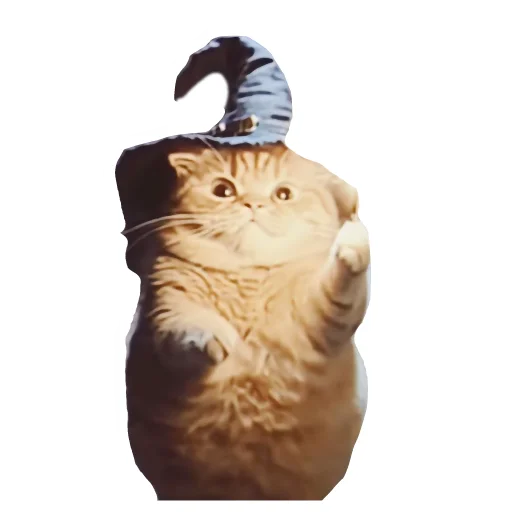 Стикер Magic Сat