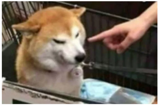 Стикер Стикеры мангала