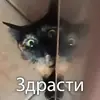 👋