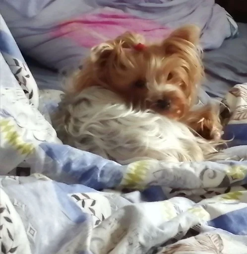 Стикер Маша