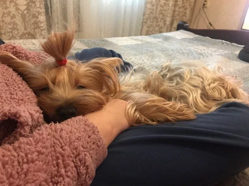 Стикер Маша