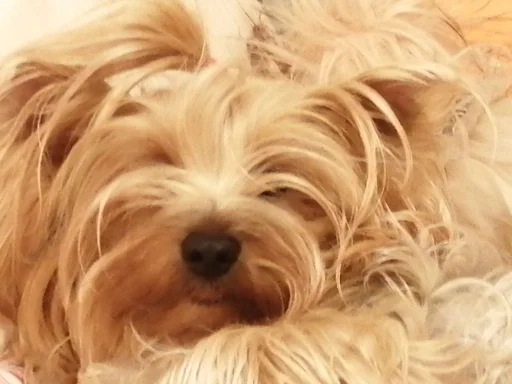 Стикер Маша