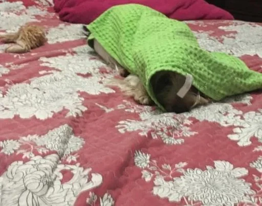 Стикер Маша