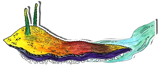 Стикер Слизняг