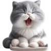 Стикер Котик Грей