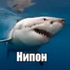 Стикер Пон