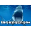 Стикер Пон