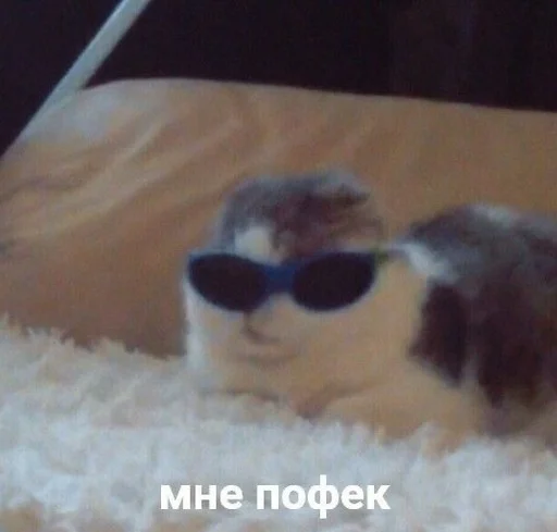 Эмодзи 😂Мемы➡️