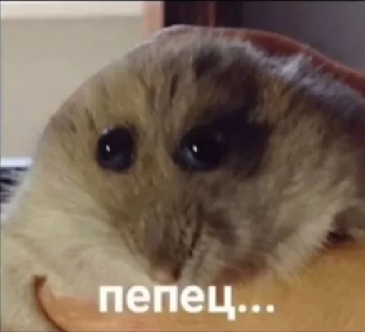 Эмодзи 😂Мемы➡️