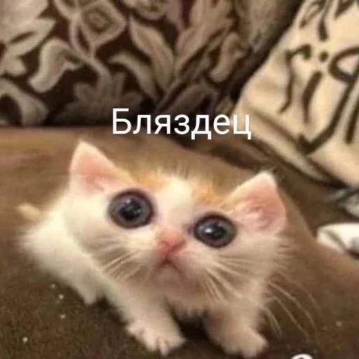 Эмодзи 😂Мемы➡️