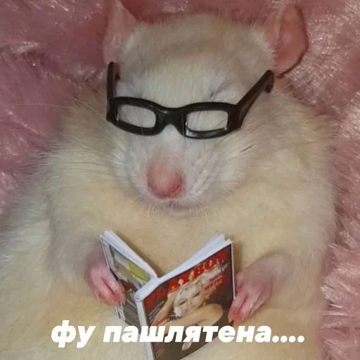 Эмодзи 😂Мемы➡️