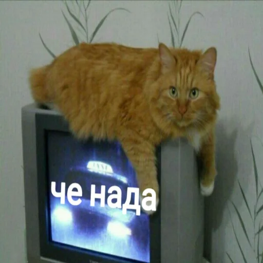 Стикер Мэмчики