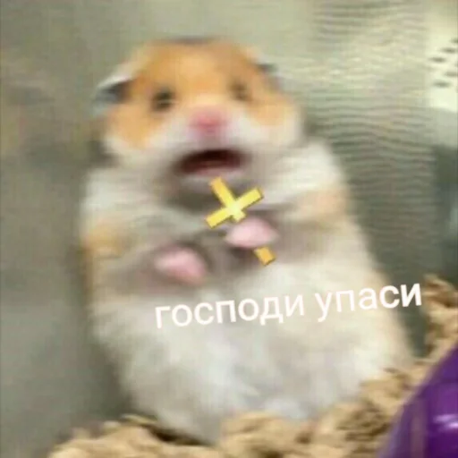Стикер Мэмчики