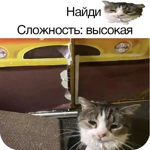 Стикер Meme